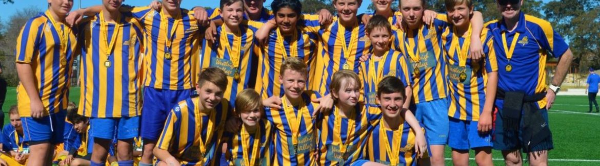 Welcome to Thornleigh Thunder FC